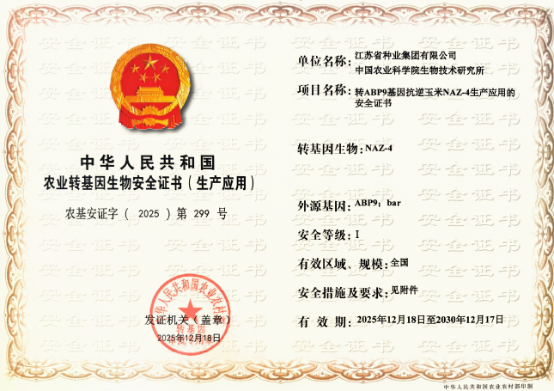 中国首个抗旱的玉米转化体 NAZ-4 获批，生物育种关键逆境性状自主创新突破