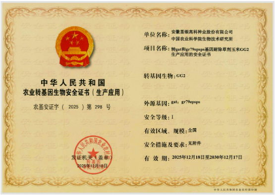 中国农科院生物所自研的草甘膦高耐受、低残留玉米转化体——GG2获批转基因生物安全证书