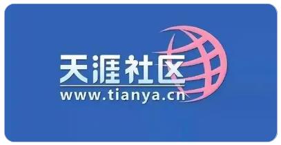 曾经的互联网王者：天涯社区域名tianya.cn20.31万元成交！