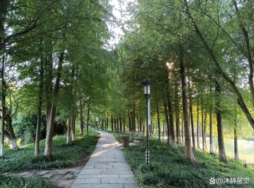 愿我们每个人都能在心缘生起中漫看花开花落、云卷云舒