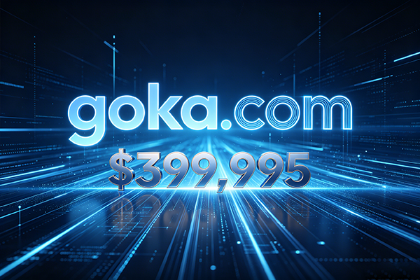 一个4字母域名goka.com近300万成交！