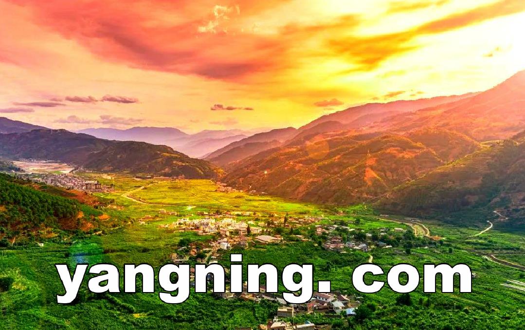 拼音域名：yangning. com 9976元一口价成交！