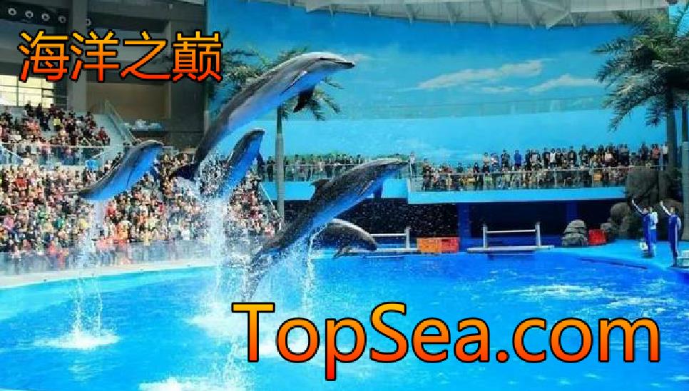组合域名：TopSea.com在Dynadot平台3348美元结拍！